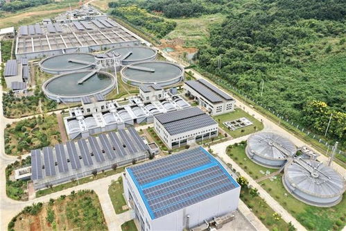 武汉航海学院助力江城环保 污水处理厂变身“发电站”